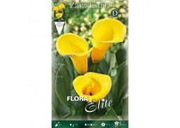 Sodo ir daržo prekės. Sėklos, daigyklos, durpinės tabletės. Gėlių sėklos. Kalija Zantedeschia Yellow 1 sv. 