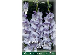 Sodo ir daržo prekės. Sėklos, daigyklos, durpinės tabletės. Gėlių sėklos. Kardeliai Gladiolus Triton 10 sv. 