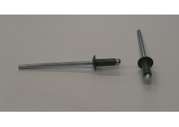 Kniedė aliuminis/plienas 3,2x8 RAL6011 