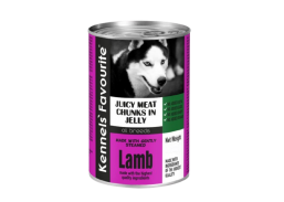 Gyvūnų prekės. Gyvūnėlių priežiūros priemonės. Naminių gyvūnų maistas. Konservai šunims Favorit ėriena 1240g