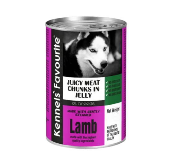 Gyvūnų prekės. Gyvūnėlių priežiūros priemonės. Naminių gyvūnų maistas. Konservai šunims Favorit ėriena 1240g