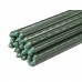 Sodo ir daržo prekės. Atramos, laikikliai augalams. Kuoliukas metalinis žalias 150 cm PMT-16-150 