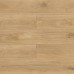 Vidaus apdailos prekės. Grindų dangos. Laminatas. 33 atsparumo klasės grindys. Laminuota grindų danga ąžuolas Noatak AC5 1380x193x10 mm  kaina