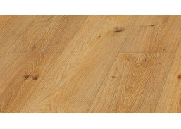 Vidaus apdailos prekės. Grindų dangos. Laminatas. 33 atsparumo klasės grindys. Laminuota grindų danga D4589 Dalia ąžuolas 33 kl. 