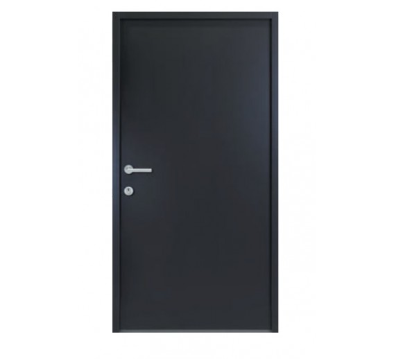 Lauko durys NBT56 880x2080 mm, antracito sp. 