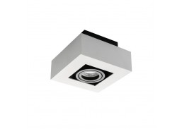 Apšvietimas. Lubiniai šviestuvai. LED kryptinis šviestuvas STOBI DLP 50-W 