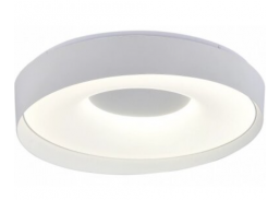 Apšvietimas. Lubiniai šviestuvai. Led šviestuvas CCT 54W