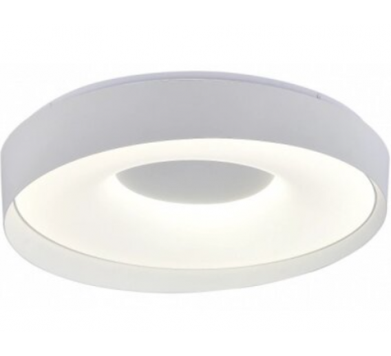 Apšvietimas. Lubiniai šviestuvai. Led šviestuvas CCT 54W