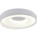 Apšvietimas. Lubiniai šviestuvai. Led šviestuvas CCT 54W