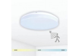Apšvietimas. Sensoriniai šviestuvai. LED šviestuvas RIOSENSO TOPE 18W IP54 
