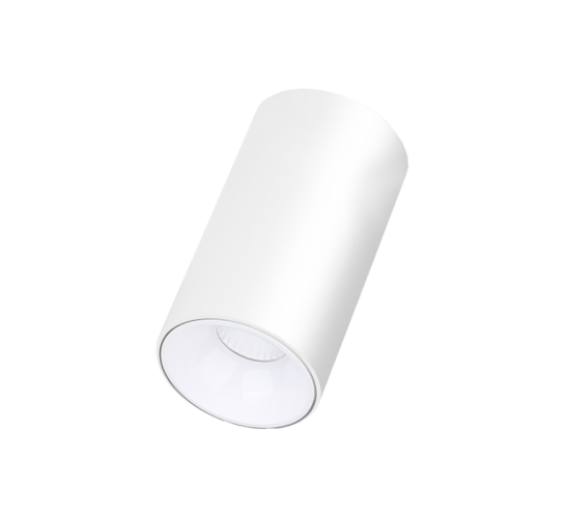 Apšvietimas. Lubiniai šviestuvai. LED šviestuvas Tulsa 10W baltas 