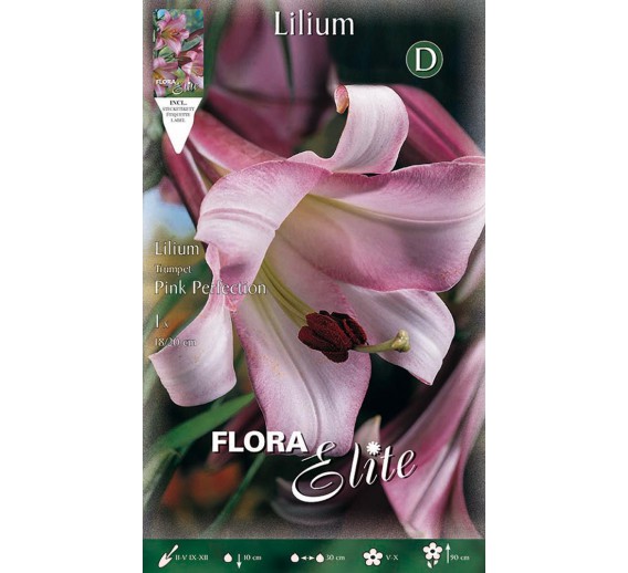Sodo ir daržo prekės. Sėklos, daigyklos, durpinės tabletės. Gėlių sėklos. Lelija Trumpet Pink Perfection 1 sv. 