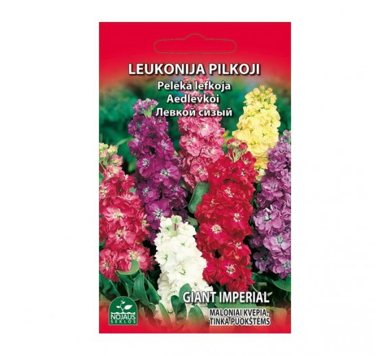 Sodo ir daržo prekės. Sėklos, daigyklos, durpinės tabletės. Gėlių sėklos. Leukonija pilkoji 0.3 g 