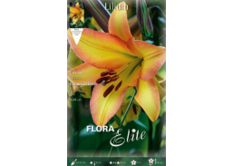 Sodo ir daržo prekės. Sėklos, daigyklos, durpinės tabletės. Gėlių sėklos. Lelija Lilium Oriental Rising Moon 2sv