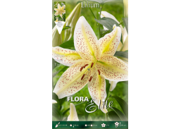 Sodo ir daržo prekės. Sėklos, daigyklos, durpinės tabletės. Gėlių sėklos. Lelija Lilium Oriental Tigermoon 2sv