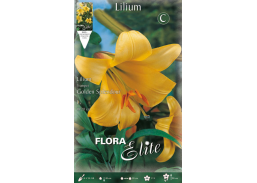 Sodo ir daržo prekės. Sėklos, daigyklos, durpinės tabletės. Gėlių sėklos. Lelija Lilium Trumpet Golden Splendou 1sv