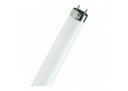 Liuminisencinė lempa 36W/840 NL-T8 G13 Radium 