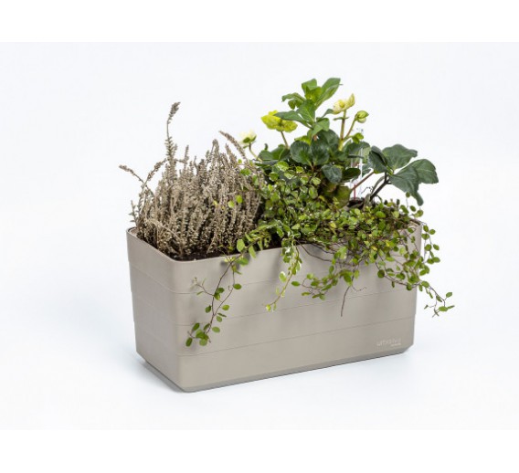 Namų apyvokos prekės. Vazonai. Vazonai su laistymo sistema. Lovelis su savaiminio laistymo sistema Berberis 40 cm smėlio sp.