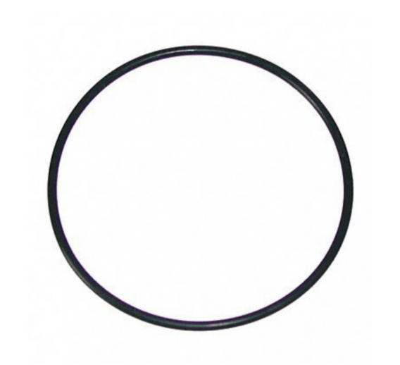 Santechnikos prekės. Vandens filtrai ir kasetės. Vandens filtrai. Mechaninio filtro tarpinė Ecosoft 