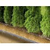 Sodo ir daržo prekės. Laistymo įranga. Laistymo žarnos. Mikroporinė laistymo žarna AQUA DROP 1/2 25m  pigiau
