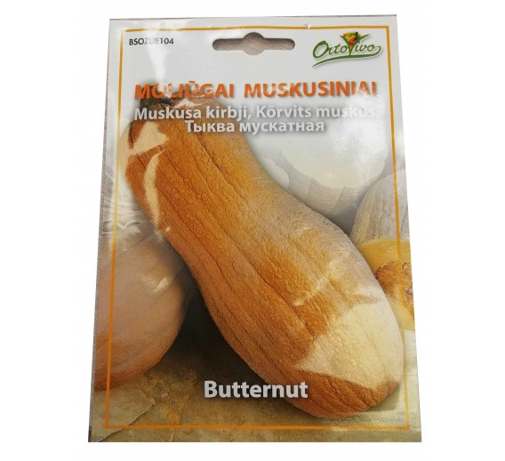 Sodo ir daržo prekės. Sėklos, daigyklos, durpinės tabletės. Cukinijos, moliūgai, baklažanai. Moliūgai muskusiniai Butternnut Hortus 2g 