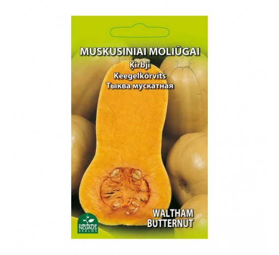 Sodo ir daržo prekės. Sėklos, daigyklos, durpinės tabletės. Cukinijos, moliūgai, baklažanai. Moliūgai muskusiniai Waltham Butern 2 g 