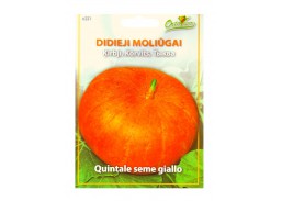 Sodo ir daržo prekės. Sėklos, daigyklos, durpinės tabletės. Cukinijos, moliūgai, baklažanai. Moliūgas Quintale seme giallo, 2,25 g 