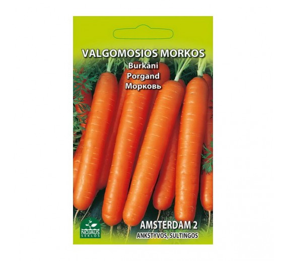 Sodo ir daržo prekės. Sėklos, daigyklos, durpinės tabletės. Morkų sėklos. Morkos Amsterdam2 2 g 