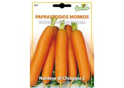 Sodo ir daržo prekės. Sėklos, daigyklos, durpinės tabletės. Morkų sėklos. Morkos Nantese di chioggia Hortus 8g 