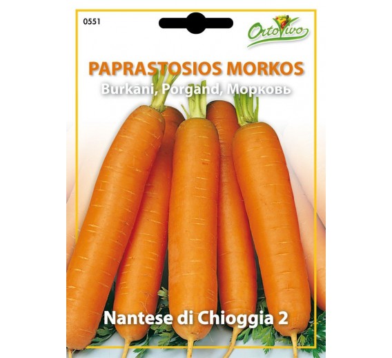 Sodo ir daržo prekės. Sėklos, daigyklos, durpinės tabletės. Morkų sėklos. Morkos Nantese di chioggia Hortus 8g 