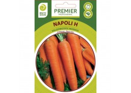 Sodo ir daržo prekės. Sėklos, daigyklos, durpinės tabletės. Morkų sėklos. Morkos Napoli H, 600 sėklų 