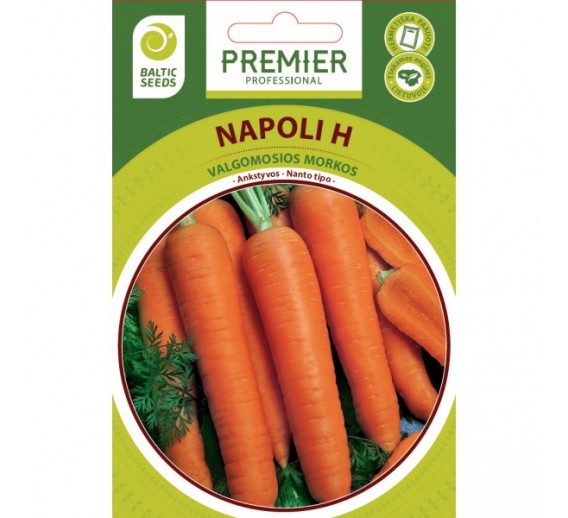 Sodo ir daržo prekės. Sėklos, daigyklos, durpinės tabletės. Morkų sėklos. Morkos Napoli H, 600 sėklų 