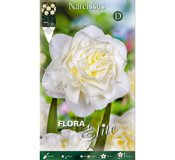 Sodo ir daržo prekės. Sėklos, daigyklos, durpinės tabletės. Gėlių sėklos. Narcizai Narcissus Double Obdam 5sv