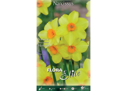 Sodo ir daržo prekės. Sėklos, daigyklos, durpinės tabletės. Gėlių sėklos. Narcizai Narcissus multi flowered Martinet 5sv