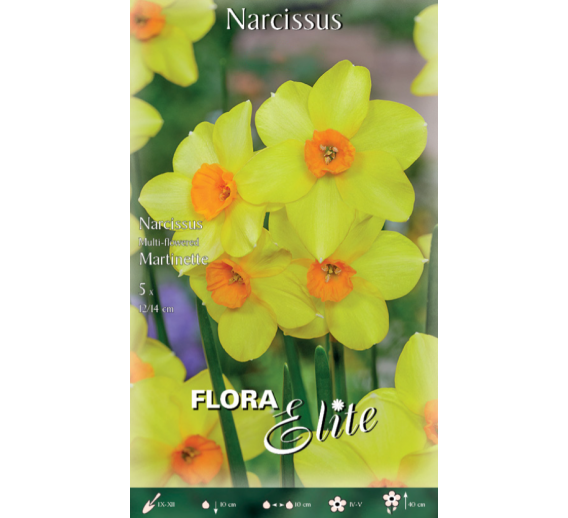 Sodo ir daržo prekės. Sėklos, daigyklos, durpinės tabletės. Gėlių sėklos. Narcizai Narcissus multi flowered Martinet 5sv