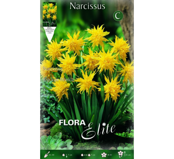 Sodo ir daržo prekės. Sėklos, daigyklos, durpinės tabletės. Gėlių sėklos. Narcizai Narcissus Rip van Winkle 5sv