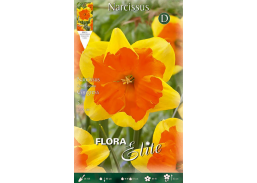Sodo ir daržo prekės. Sėklos, daigyklos, durpinės tabletės. Gėlių sėklos. Narcizai Narcissus Split Corona Congres 5sv