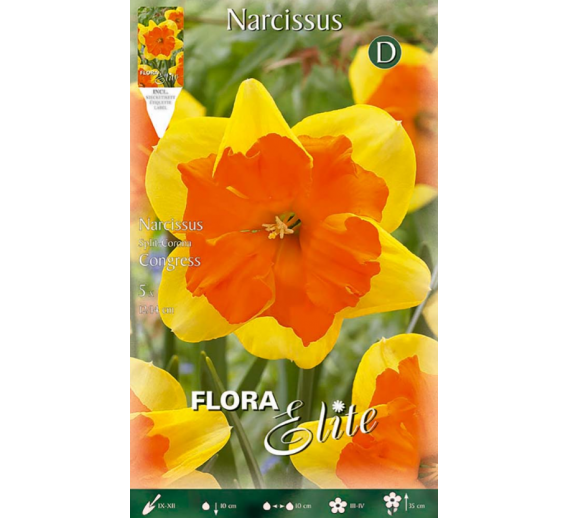 Sodo ir daržo prekės. Sėklos, daigyklos, durpinės tabletės. Gėlių sėklos. Narcizai Narcissus Split Corona Congres 5sv