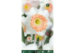 Sodo ir daržo prekės. Sėklos, daigyklos, durpinės tabletės. Gėlių sėklos. Narcizai Narcissus Tr.British Gamble 3sv