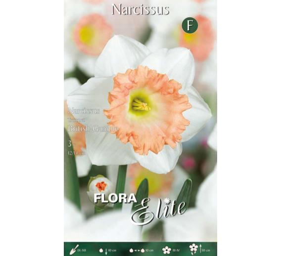 Sodo ir daržo prekės. Sėklos, daigyklos, durpinės tabletės. Gėlių sėklos. Narcizai Narcissus Tr.British Gamble 3sv