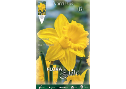 Sodo ir daržo prekės. Sėklos, daigyklos, durpinės tabletės. Gėlių sėklos. Narcizai Narcissus Tr.Dutch Master 5sv