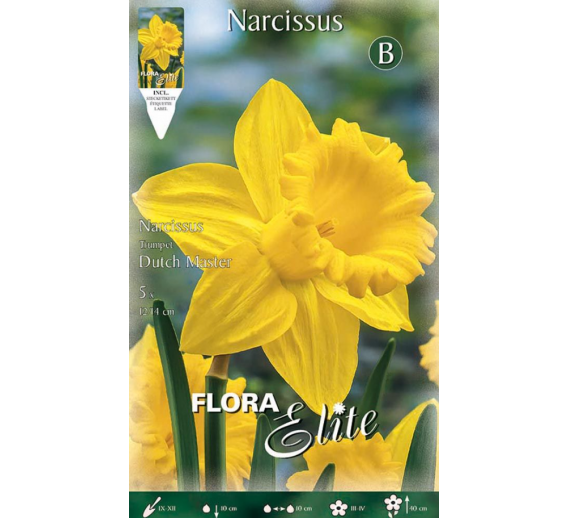 Sodo ir daržo prekės. Sėklos, daigyklos, durpinės tabletės. Gėlių sėklos. Narcizai Narcissus Tr.Dutch Master 5sv