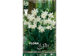 Sodo ir daržo prekės. Sėklos, daigyklos, durpinės tabletės. Gėlių sėklos. Narcizai Narcissus triandrus Thalia 5sv