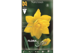 Sodo ir daržo prekės. Sėklos, daigyklos, durpinės tabletės. Gėlių sėklos. Narcizai Narcizus Double Ducat 5sv