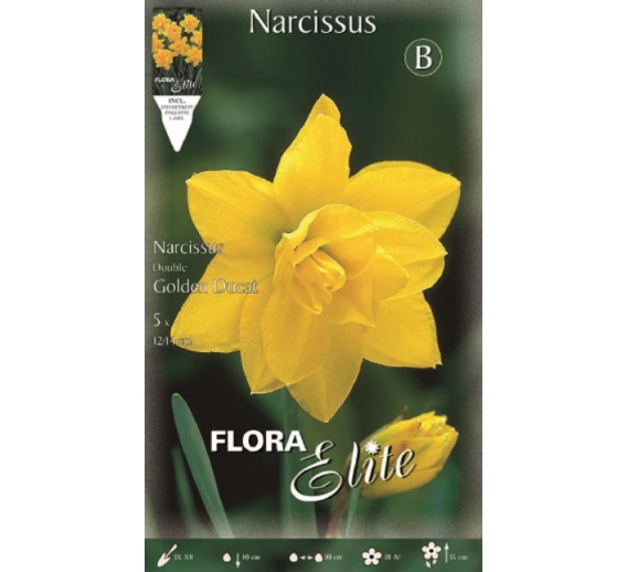 Sodo ir daržo prekės. Sėklos, daigyklos, durpinės tabletės. Gėlių sėklos. Narcizai Narcizus Double Ducat 5sv