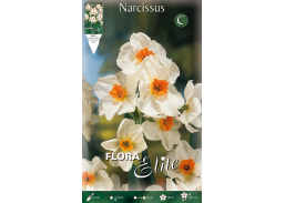 Sodo ir daržo prekės. Sėklos, daigyklos, durpinės tabletės. Gėlių sėklos. Narcizai Narcizus Multi-fl.Geranium 5sv