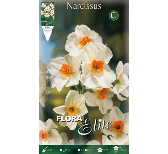 Sodo ir daržo prekės. Sėklos, daigyklos, durpinės tabletės. Gėlių sėklos. Narcizai Narcizus Multi-fl.Geranium 5sv