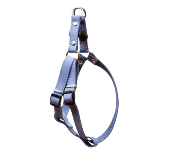 Gyvūnų prekės. Gyvūnėlių priežiūros priemonės. Pavadėliai, antkakliai, petnešos. Odinės petnešos su sagtimis 1cm