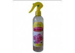 Sodo ir daržo prekės. Trąšos ir durpių substratai. Trąšos. Skystos trąšos. Orchidėjoms šaknims purkšti trąšos Dulksna 300ml 