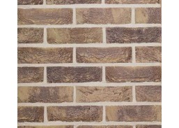 Plyta Abote WFD Wienerberger 215x102x65 mm 
